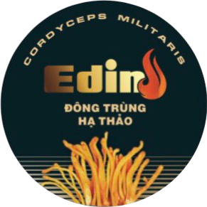 ĐÔNG TRÙNG HẠ THẢO EDIN